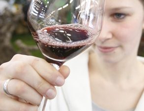 Objavljen Javni natječaj za podnošenje prijava za dodjelu sredstava za mjeru Promidžba na tržištima trećih zemalja u 2017. godini