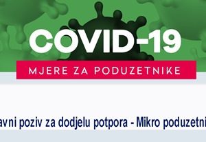 Javni poziv za dodjelu potpora temeljem Programa o provedbi mjera dodjele potpora male vrijednosti-Mikro poduzetnici