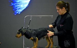 Više od 200 predstavnika brzorastućeg zanimanja najavilo dolazak u Zagreb